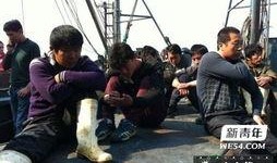 新船员最新爆料视频大全,最新视频大全深度解析