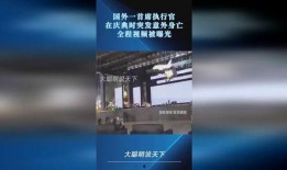 执行官最新爆料视频